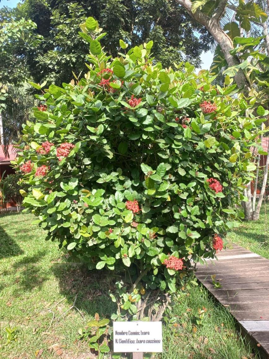 Manish Hotel Ecologico Pucallpa Exterior photo